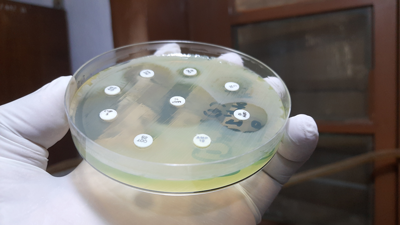 PGEU produz recomendações para combate às resistências antimicrobianas
